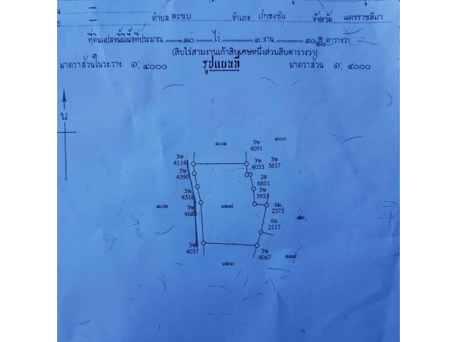 ขายที่โฉนด10ไร่3งาน90ตรว.ต.งิ้วอ.ปักธงชัย ขายไร่ละ320,000บาท
