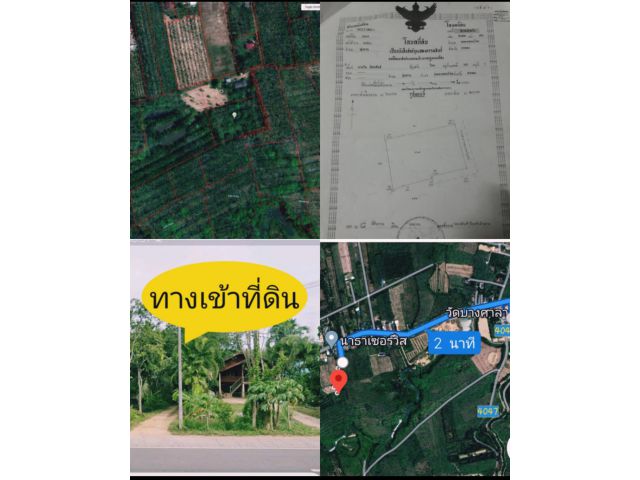 ขายที่สวนผสมคลองหอยโข่งทุ่งลาน2ไร่2งาน62ตรว.ขาย3,200,000บาท