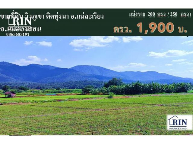 R066-010   ขายที่ดิน 200 ตรว.แม่ฮ่องสอน วิวภูเขาติดทุ่งนาสวยมาก ติดถนนใหญ๋ ต.แม่ยวม อ.แม่สะเรียง จ.แม่ฮ่องสอน 086-5685-1