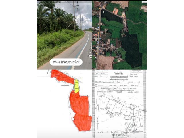 ขายที่ดินสวนปาล์มและโรงงานที่สะเดาพังลา 204 ไร่ขายรวม 390 ล้านบาท