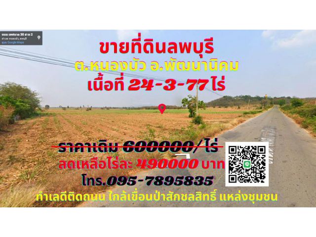 ขาย ที่ดินลพบุรี 24-3-77 ไร่ ต.หนองบัว อ.พัฒนานิคม ทำเลทองติดถนน ใกล้เขื่อนป่าสักชลสิทธิ์