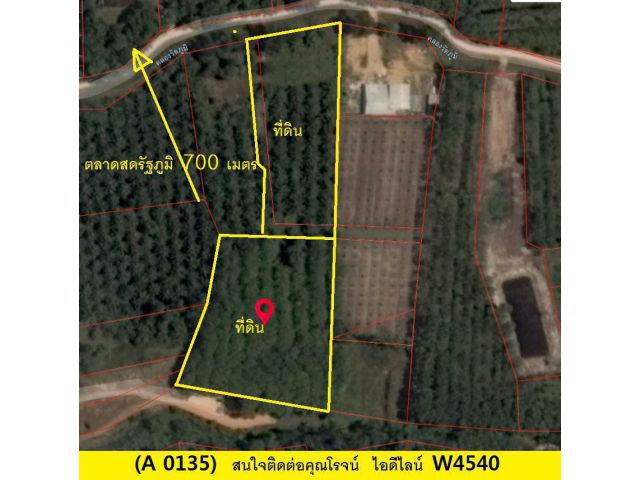 (A 0135) ขายที่ดิน ต.กำแพงเพขร อ.รัตภูมิ  6ไร 6.8 ตรว.