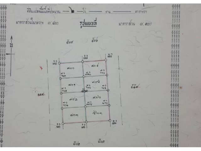 ขายที่ดิน อ.สารภี จ เชียงใหม่