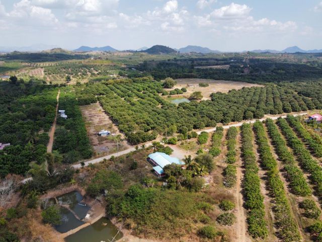 ขายที่ดินสวนลำไย พร้อมบ้านพัก (ต.ปะตง อ.สอยดาว จ.จันทบุรี) ติดถนน รวมพื้นที่ 37 ไร่