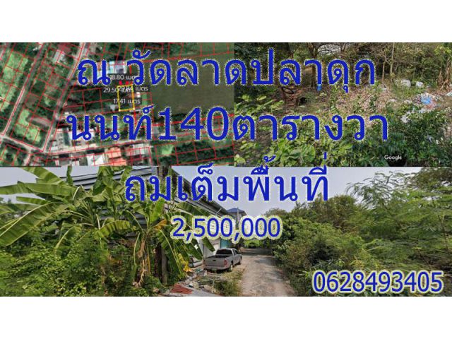 ลาดปลาดุก140ถมเต็มพื้นที่