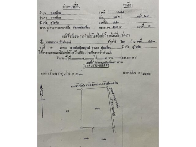 ให้เช่าที่ดิน 1ไร่ 3งานกว่า ถมแล้ว สี่แยกโรงพยาบาลทุ่งเสลี่ยม น้ำ-ไฟฟ้าพร้อม