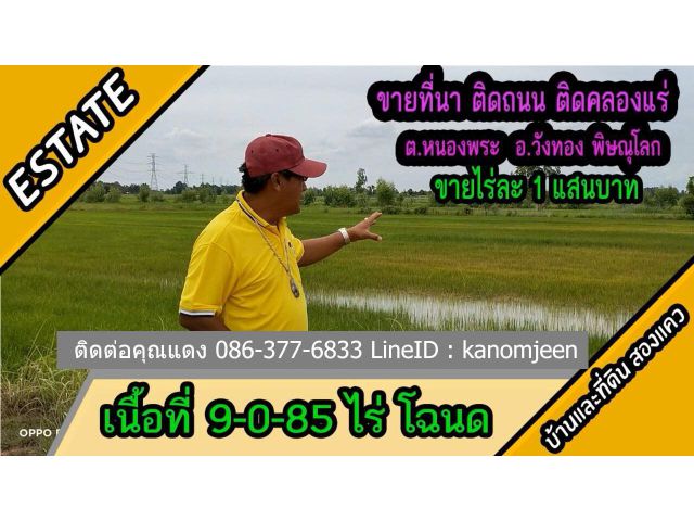 ขายที่นา วิวเขา ติดถนน ติดคลอง เนื้อที่ 9ไร่ 85 ตรว. ต.หนองพระ อ.วังทอง พิษณุโลก ไร่ละ1 แสนบาท