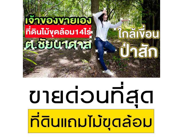 ขายที่ดินไม้ขุดล้อม ใช้งานได้แล้ว ตำบลชัยบาดาล อ.ชัยบาดาล จ.ลพบุรี 14ไร่1งาน60ตรว ขายไร่ละ300,000บาท