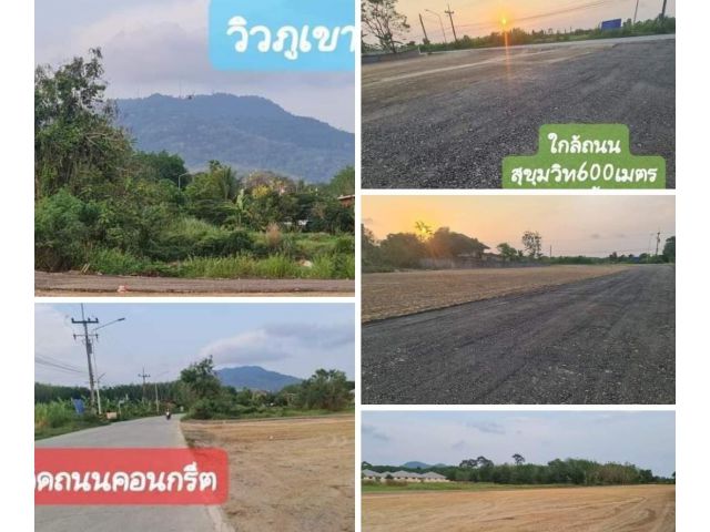 ที่ดินวิวดี ทำเลดีเหมาะกับนักลงทุนและสร้างบ้าน