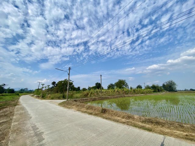 ขายที่ดิน ต.ตะเคียนเลื่อน อ.เมืองนครสวรรค์ ขนาด 13 ไร่เศษ ถนนคอนกรีตเข้าถึง