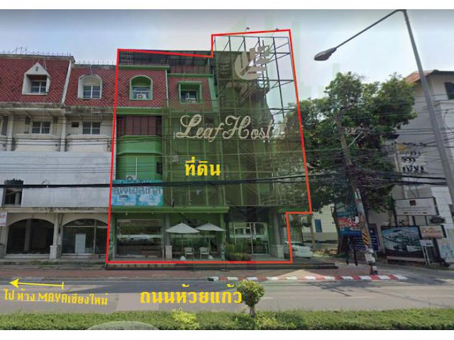 ขายราคาพิเศษ Leaf Hostel เชียงใหม่ ติดถนนห้วยแก้ว ห่างMAYA Shopping 650 ม. ทำเลสวย 40 ล้าน ด่วนนน