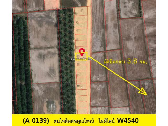 (A 0139) ขายที่ดิน ต.บ้านหาร อ.ท่าช้าง  46.4 ตรว.