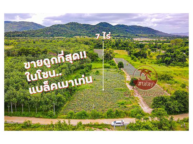 ขายที่ดินหัวหิน ราคาถูกที่สุดในโซนแบล็คเมาเท่น เนื้อที่ 7 ไร่