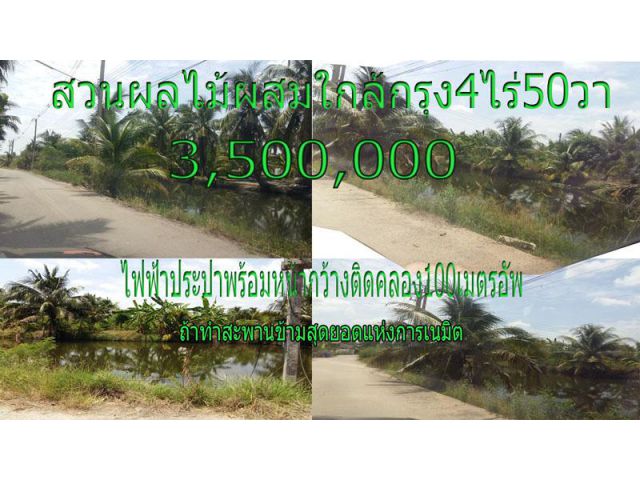 4ไร่50วาติดคลอง(ทำสะพานข้าม)แดนนรมิต