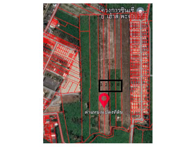 ขายสวนยาง 12 ไร่ มี 4 แปลงติดกัน รวม 48 ไร่ แบ่งขายได้ 8แสน/ไร่