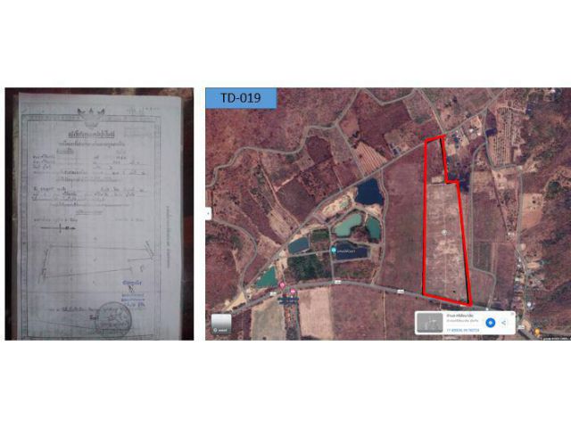 TD-019-PT-ST ต้องการขายที่ดิน เนื้อที่ 59-2-62 ไร่ เพื่อทำการเกษตรผสมผสาน ทำรีสอร์ทหรือจัดสรรแบ่งขายได้ จุดเด่นของเราคือที่สวยและน้ำไม่ท่วม