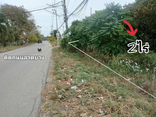 ขายที่ดินทำเลค้าขายได้ ติดถนนลาดยาง 2ไร่