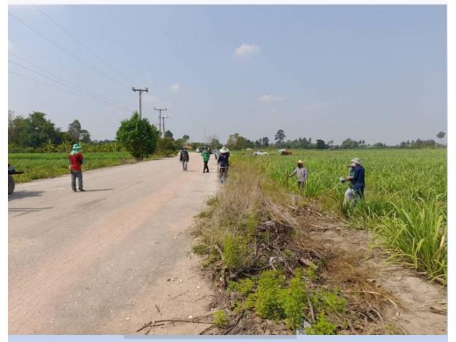 ขายที่ดินกำแพงเพชร 48 ไร่ ถนน 1084 ต.เทพนคร ใกล้ วัดไทรย้อย ใกล้โครงการก่อสร้างรถไฟทางคู่ สถานีเทพนคร