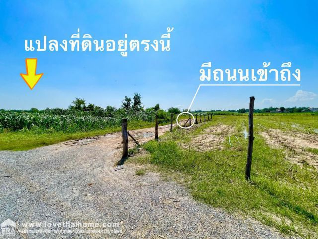 ขายที่ดิน กำแพงแสน นครปฐม ถ.ดำรงพล ต.ทุ่งกระพังโหม พื้นที่107ตรว. ใกล้สนามยิงปืนกำแพงแสน 2 กม. เหมาะสำหรับซื้อไว้เพื่อปล