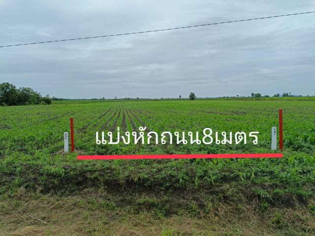 ขายที่ดินติดลาดยาง 4-1-31 ไร่ ไร่ละ 200,000 เท่านั้น