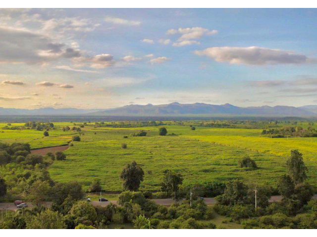 ขาย ที่ดินกาญจนาบุรี วิวภูเขา ติดถนนลาดหญ้า-บ่อพลอย ใกล้ค่ายสุรสีห์  ห่างจากศากลางเพียง 25 กม. ต.หนองกุ่ม อ.บ่อพลอย กาญจ