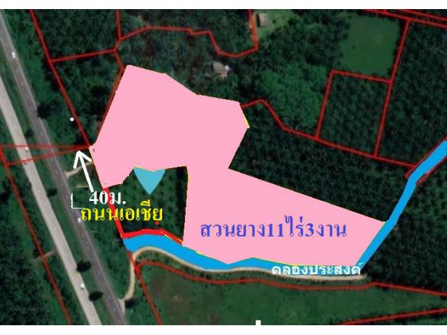 ขายที่พร้อมบ้านติดถนนเอเชียขาลงนส3ก.11ไร่3งานใกล้ปั๊มบางจากต.ประสงค์ อ.ท่าชนะขาย9,000,000บาท