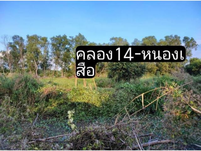 ที่ดินทำเลดี 200ตร.วา คลอง14