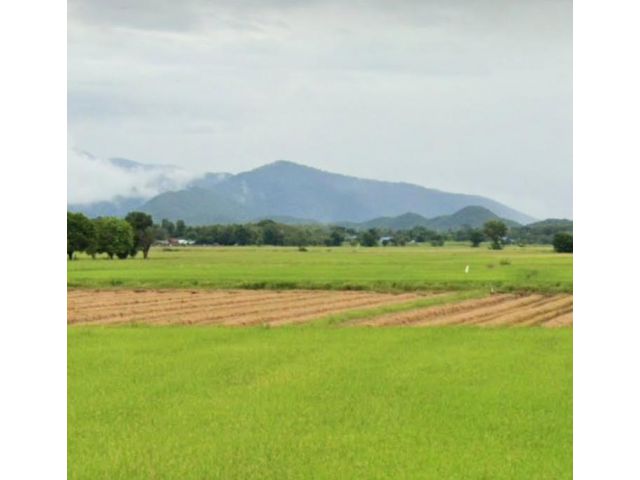 ที่นามีโฉนดแปลงสวย ดินดี น้ำดี มีทางสาธารณะ ราคาถูก อุตรดิตถ์