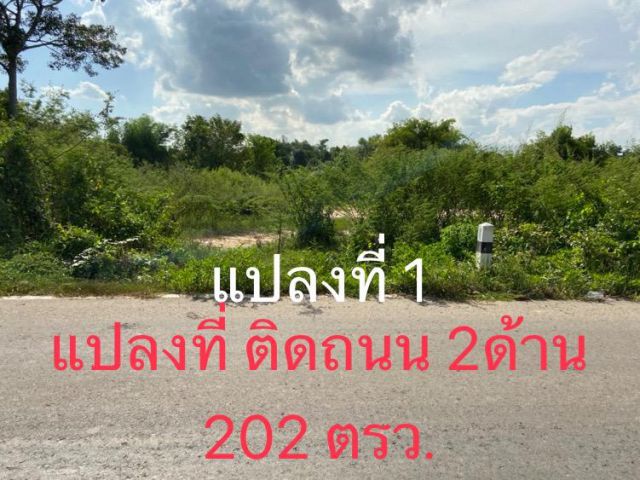 ที่ดินโฉนด ติดถนนลาดยาง อยู่ห่างสุวรรณศร 1.5 กม. 202ตรว.ราคา 500,000.-