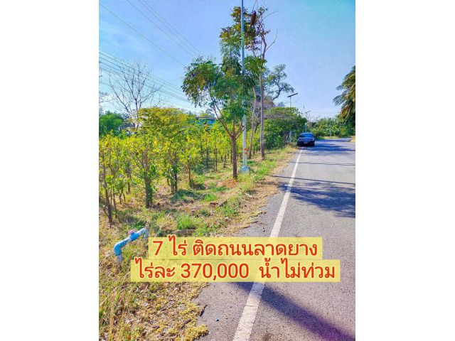 เจ้าของต้องการขายที่ดิน 7 ไร่ ติดถนนลาดยาง  ไม่แพง  @@@