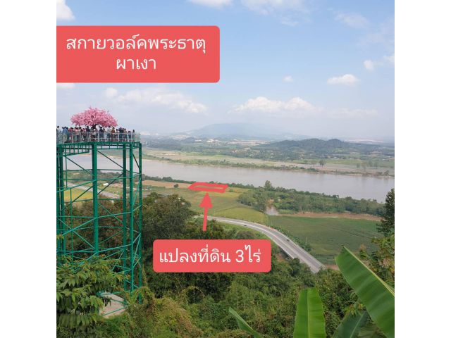 ขายที่ดิน เชียงแสน เชียงราย ริมน้ำ 3ไร่ ไร่ล่ะ 5.5 ล้าน