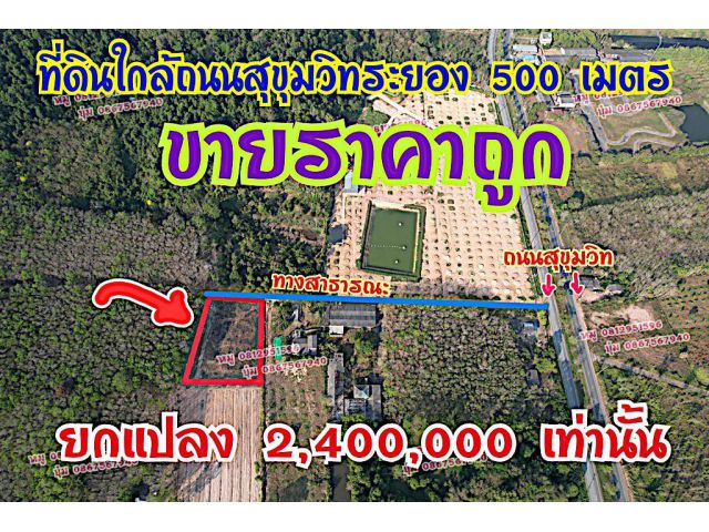 ขายที่ดินห่างถนนสุขุมวิทระยองเพียง 500 เมตร  ราคาถูกๆ