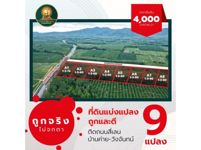 ปังแน่นะวิ ที่ดินสวยวิวเขา ️ในราคาพิเศษ เริ่มต้น 4,000 .- / ตร.วา️