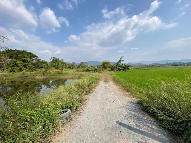 ขายที่นาติดถนนลาดยางติดลำห้วยบ้านแม่โป่งดอยสะเก็ต