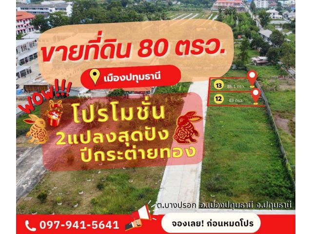 ที่ดินแบ่งขาย  ที่ดินอำเภอเมืองปทุมธานี ลดพิเศษ 100000 บาท