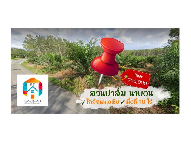 ที่ดินสวนปาล์มนาบอน ใกล้ถนนเอเชียสาย41