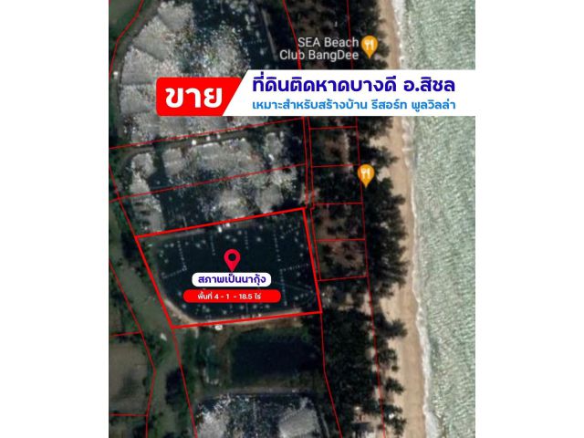 ที่ดินใกล้หาดบางดี สิชล นครศรีฯ เนื้อที่4ไร่เศษ