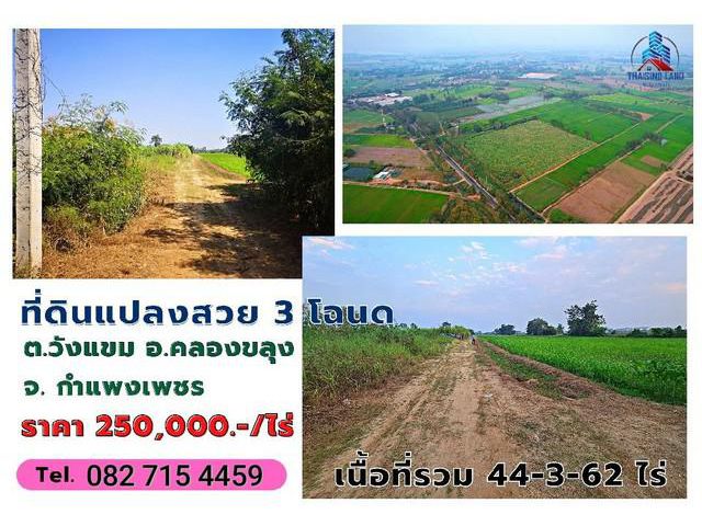 ขายที่ดิน 3 แปลง (3 โฉนด)​ เนื้อที่รวม 44-3-62 ไร่