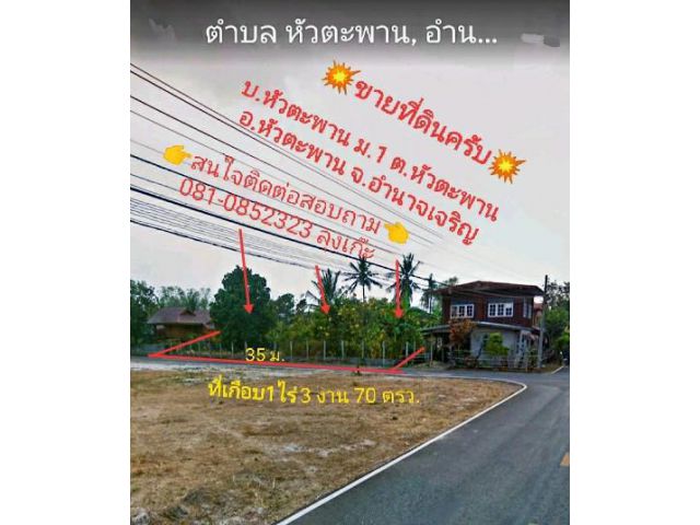 ด่วน ขายที่ดินทำเลทอง บ.หัวตะพาน กลางชุมชน