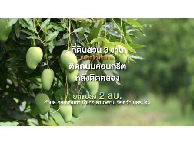 ที่ดินรูปสี่เหลี่ยม 3 งาน หน้ากว้าง 14 ม. ลึก 64 ม.ติด ถ.สาธารณะ หลังติดคลอง ด้านหน้ามีเนินพร้อมปลูกบ้าน   