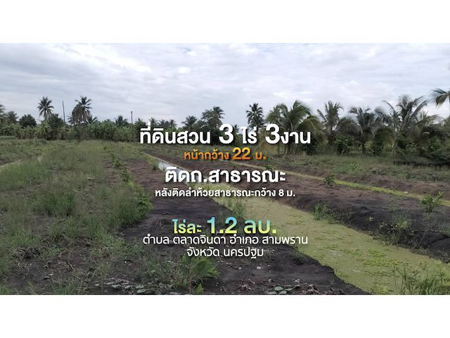 ที่ดินสวน 3 ไร่ 3 งาน ไร่ละ 1.2 ลบ. หน้ากว้าง 22 ม.ติด ถ.สาธารณะ ด้านหลังติดคลองกว้าง 8 ม.   