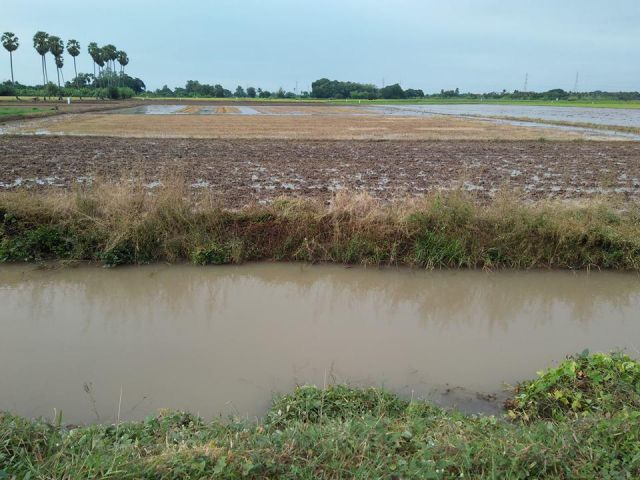 ขายที่ดินเนื้อที่ 2 ไร่ น้ำไม่ท่วม ราคาต่อรองพูดคุยกันได้ครับ