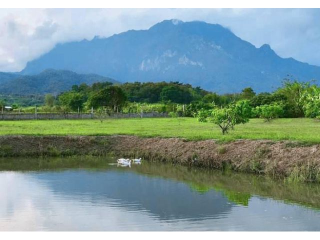 ขายที่ดินบ้านแม่นะเชียงดาววิวดอยหลวงพร้อมโอน