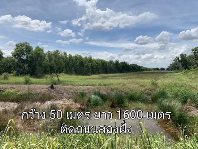 ขายที่ดิน เลียบคลองรพีพัฒน์ พยอม วังน้อย อยุธยา