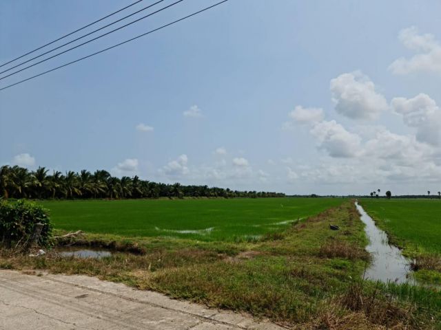 ขายที่ดิน ต.เขาพังไกร อ.หัวไทร จ.นครศรีธรรมราช