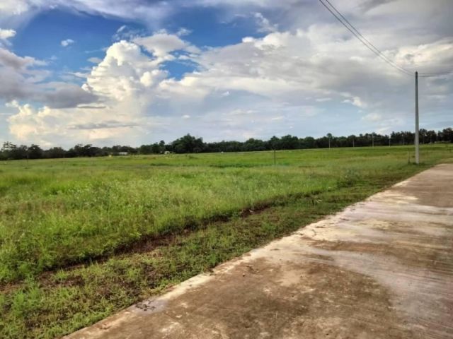 ขายที่ดินบ้านทรายมูลสันกำแพงติดถนนลาดยางพร้อมโอน