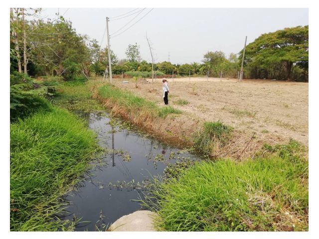 ขายที่ดินสวย  ทำเลดีมากๆ ติดถนนหลักของชุมชน(ลาดยางดำ) และติดถนนสองด้าน .