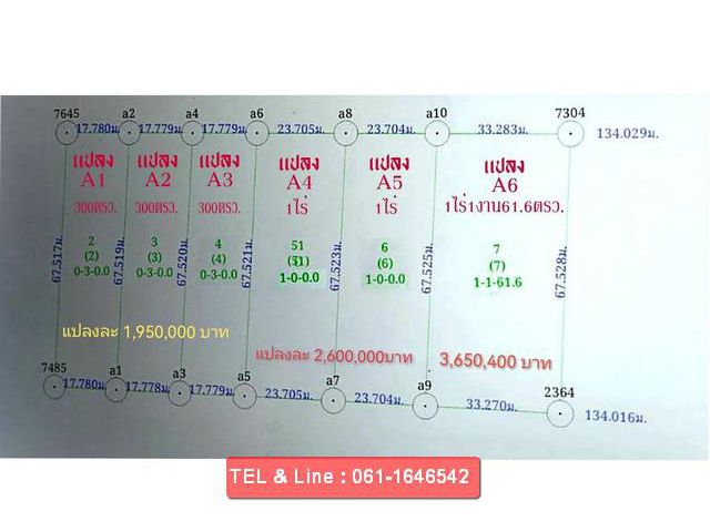 ขายที่ดิน คลอง11 ลำลูกกา ปทุมธานี