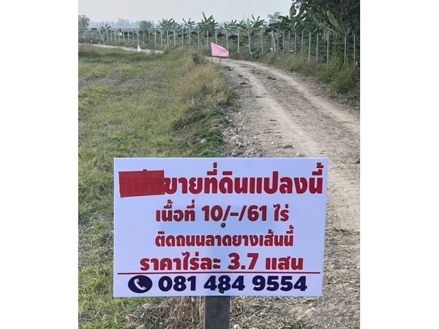 ขายที่ดิน 10 ไร่ ติดถนนลาดยาง