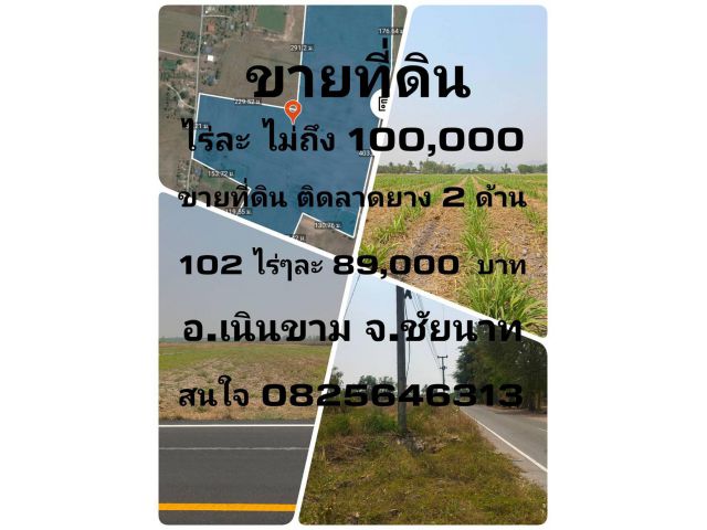 ขายที่ดิน/ติดลาดยาง 2ฝั่ง/ไฟฟ้า 2ฝั่ง/ติดชุมชน ขายถูก/ขายด่วน ไร่ละไม่ถึงเเสน จ.ชัยนาท สนใจโทร 082-5646313